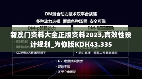 新澳门资料大全正版资料2023,高效性设计规划_为你版KDH43.335