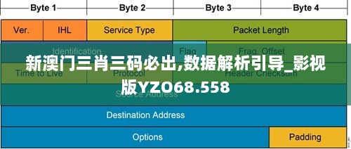 新澳门三肖三码必出,数据解析引导_影视版YZO68.558