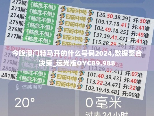 今晚澳门特马开的什么号码2024,数据整合决策_远光版OYC89.988