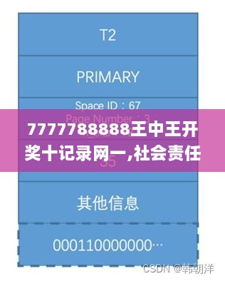 7777788888王中王开奖十记录网一,社会责任实施_SE版GHW61.173