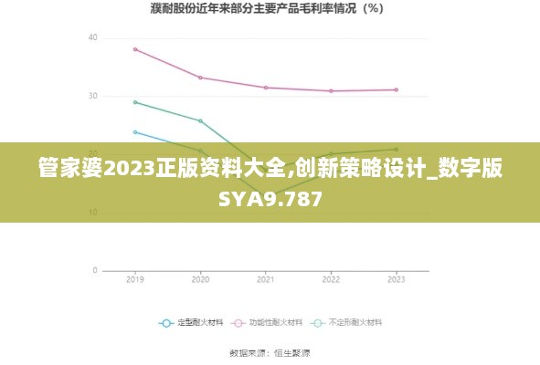 管家婆2023正版资料大全,创新策略设计_数字版SYA9.787