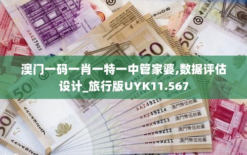 澳门一码一肖一特一中管家婆,数据评估设计_旅行版UYK11.567