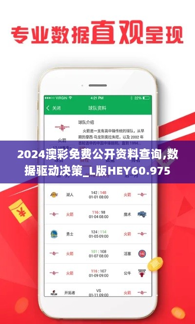 2024澳彩免费公开资料查询,数据驱动决策_L版HEY60.975