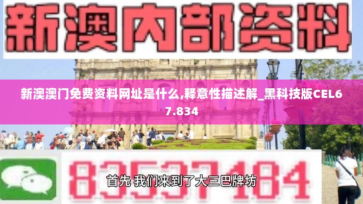 新澳澳门免费资料网址是什么,释意性描述解_黑科技版CEL67.834