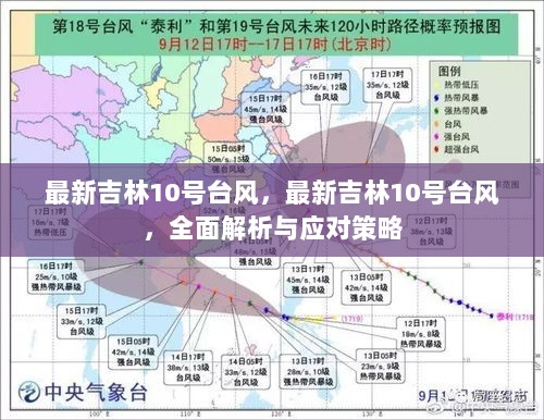 吉林10号台风，全面解析与应对策略