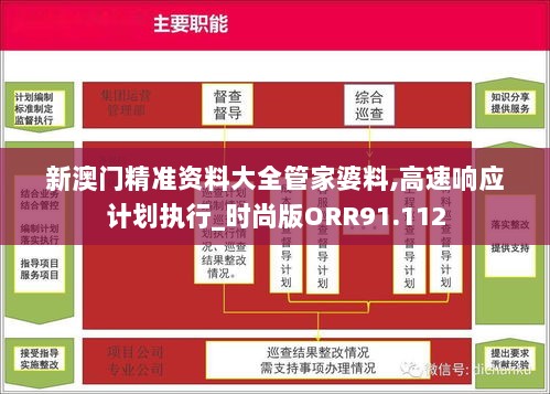 新澳门精准资料大全管家婆料,高速响应计划执行_时尚版ORR91.112