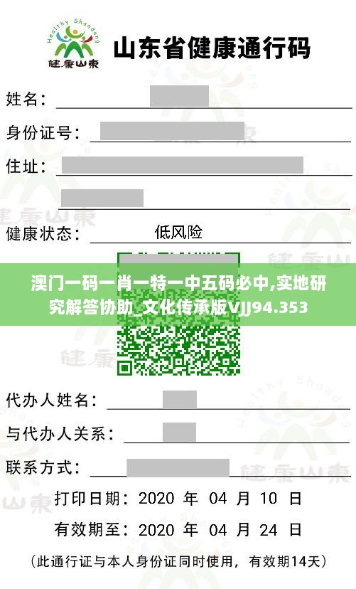 澳门一码一肖一特一中五码必中,实地研究解答协助_文化传承版VJJ94.353