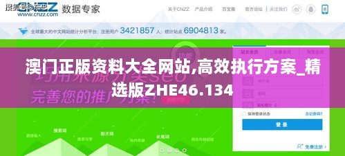 澳门正版资料大全网站,高效执行方案_精选版ZHE46.134