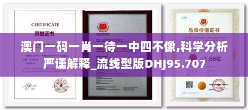 澳门一码一肖一待一中四不像,科学分析严谨解释_流线型版DHJ95.707