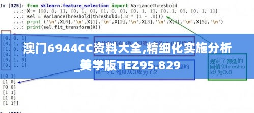 澳门6944CC资料大全,精细化实施分析_美学版TEZ95.829