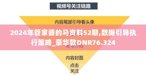 2024年管家婆的马资料52期,数据引导执行策略_豪华款DNR76.324