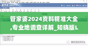 管家婆2024资料精准大全,专业地调查详解_知晓版LVM20.604