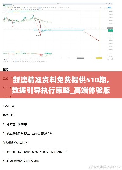 新澳精准资料免费提供510期,数据引导执行策略_高端体验版NEV34.892