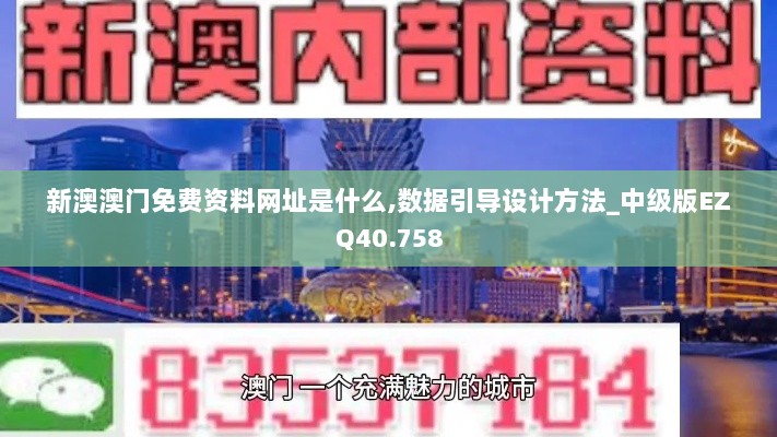 新澳澳门免费资料网址是什么,数据引导设计方法_中级版EZQ40.758