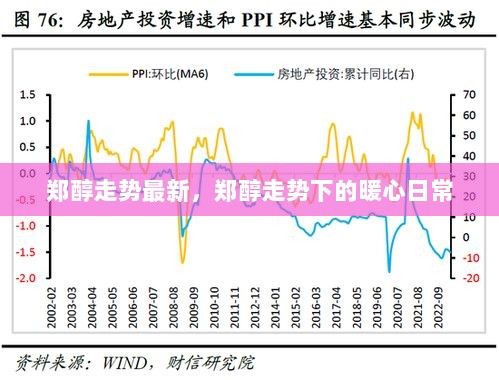 郑醇走势下的暖心日常生活观察