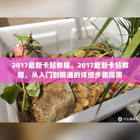 2017最新卡钻教程，从入门到精通的详细步骤指南