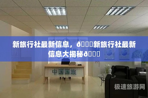 新旅行社最新信息大揭秘！