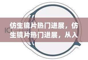 仿生镜片热门进展，从入门到精通的步骤指南