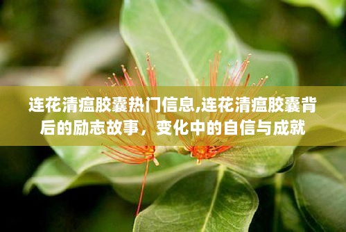 连花清瘟胶囊，背后的励志故事与成就的自信之路