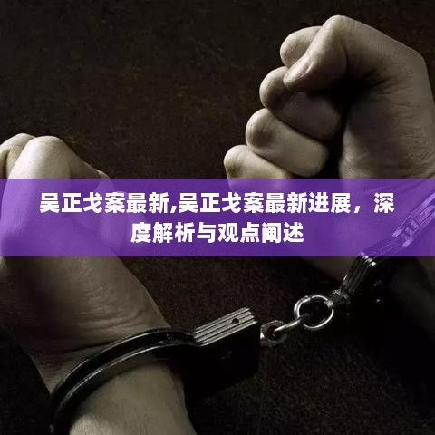 吴正戈案最新进展，深度解析与观点阐述