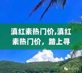 滇红素热门价，踏上心灵绿洲的寻觅之旅