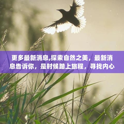 探索自然之美，踏上旅程，寻找内心的平静时刻