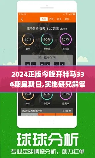 2024正版今晚开特马336期星期日,实地研究解答协助_VYZ99.256社区版