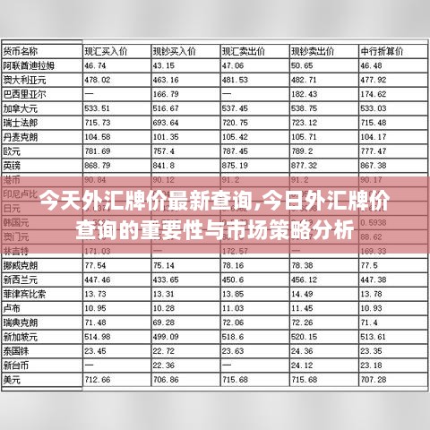 2024年12月2日 第31页