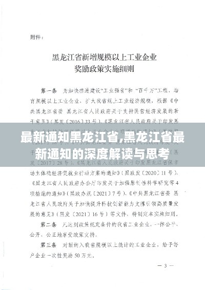 黑龙江省最新通知的深度解读与思考