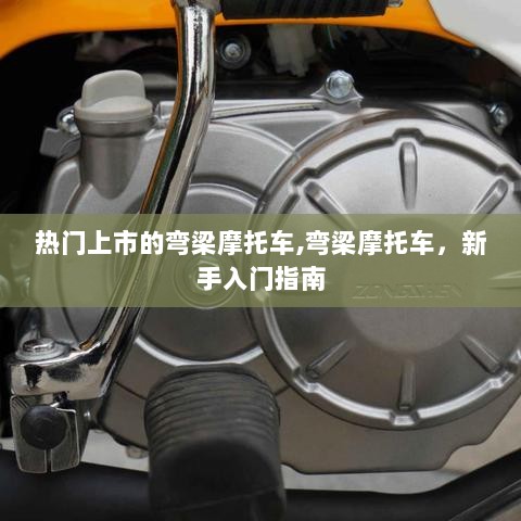 热门上市弯梁摩托车，新手入门指南