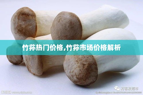 竹荪市场价格解析，热门价格走势探究