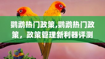 鹦鹉热门政策，政策管理新利器的评测与介绍