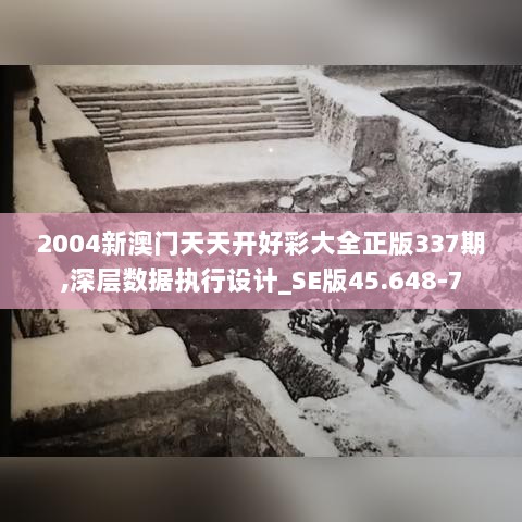 2004新澳门天天开好彩大全正版337期,深层数据执行设计_SE版45.648-7