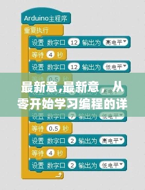 从零开始学习编程的详细步骤指南，最新意解读