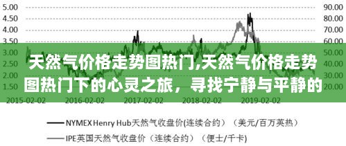 天然气价格走势图热门下的心灵探索，宁静与平静的追寻之旅