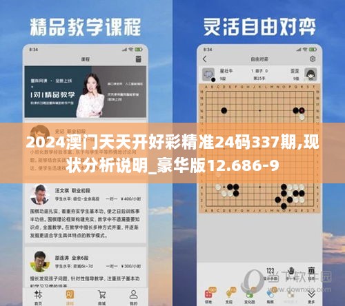 2024澳门天天开好彩精准24码337期,现状分析说明_豪华版12.686-9