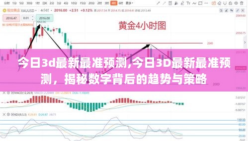 今日3D数字趋势与策略揭秘，最新最准预测。