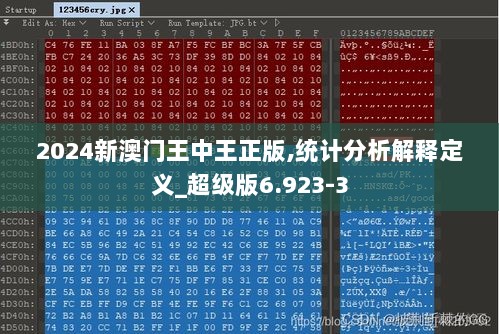 2024新澳门王中王正版,统计分析解释定义_超级版6.923-3