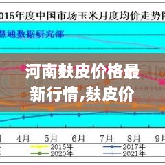 河南麸皮价格新动向，共赴自然之旅，关注麸皮行情变化