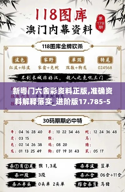 新粤门六舍彩资料正版,准确资料解释落实_进阶版17.785-5