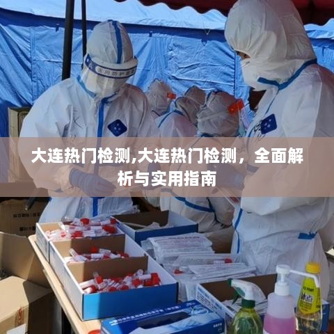 大连热门检测，全面解析与实用指南