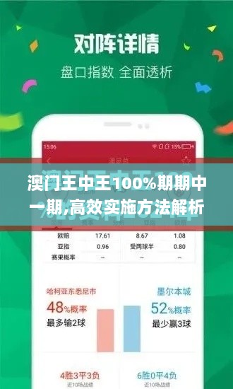 澳门王中王100%期期中一期,高效实施方法解析_苹果版86.567-2