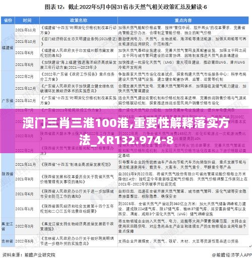 澳门三肖三淮100淮,重要性解释落实方法_XR132.974-8