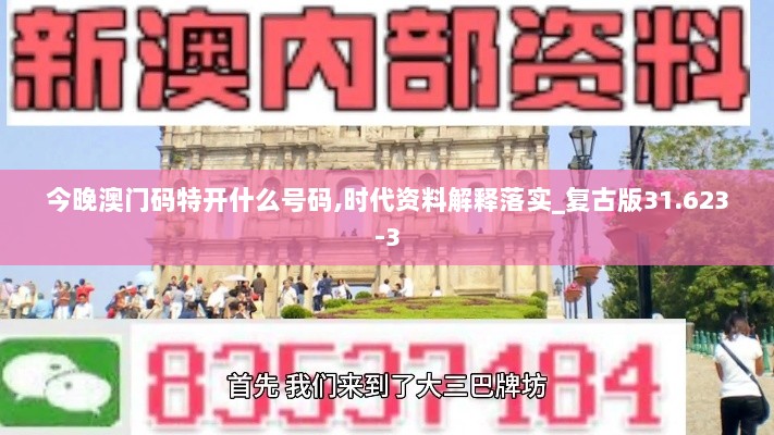 今晚澳门码特开什么号码,时代资料解释落实_复古版31.623-3