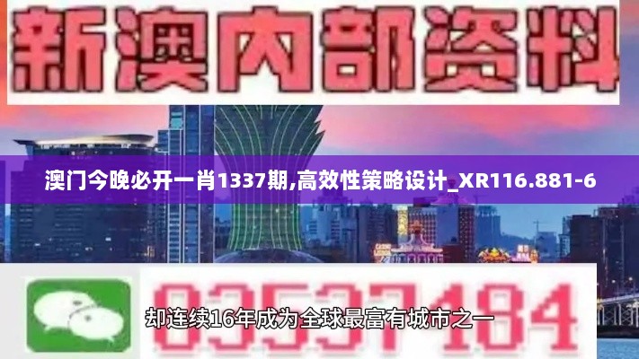 澳门今晚必开一肖1337期,高效性策略设计_XR116.881-6