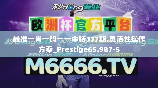 最准一肖一码一一中特337期,灵活性操作方案_Prestige65.987-5