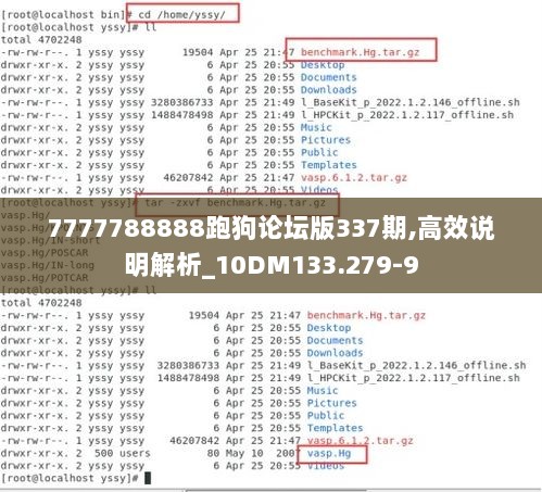 7777788888跑狗论坛版337期,高效说明解析_10DM133.279-9