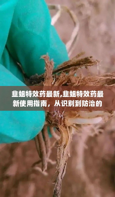 韭蛆特效药最新使用指南，全方位防治教程从识别到防治的步骤详解