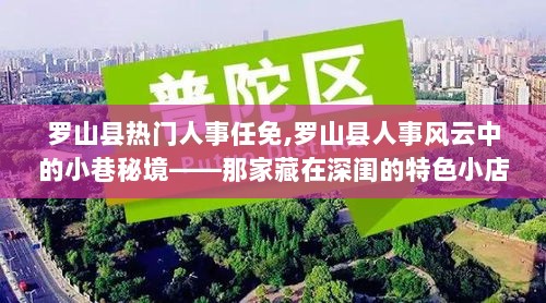 罗山县人事风云与小巷秘境中的特色小店