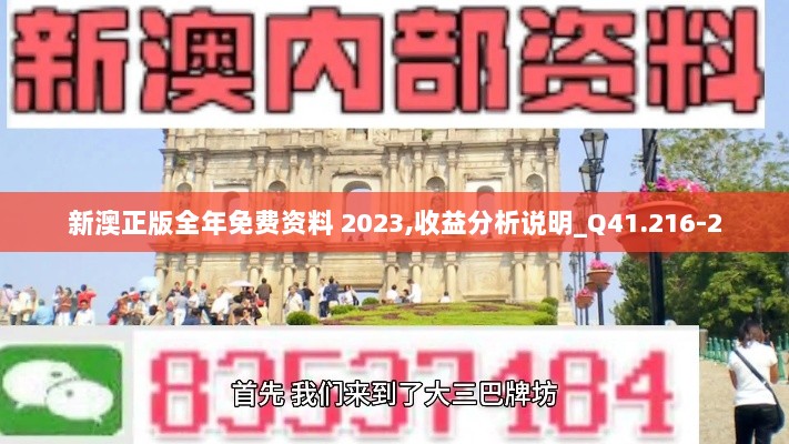 新澳正版全年免费资料 2023,收益分析说明_Q41.216-2